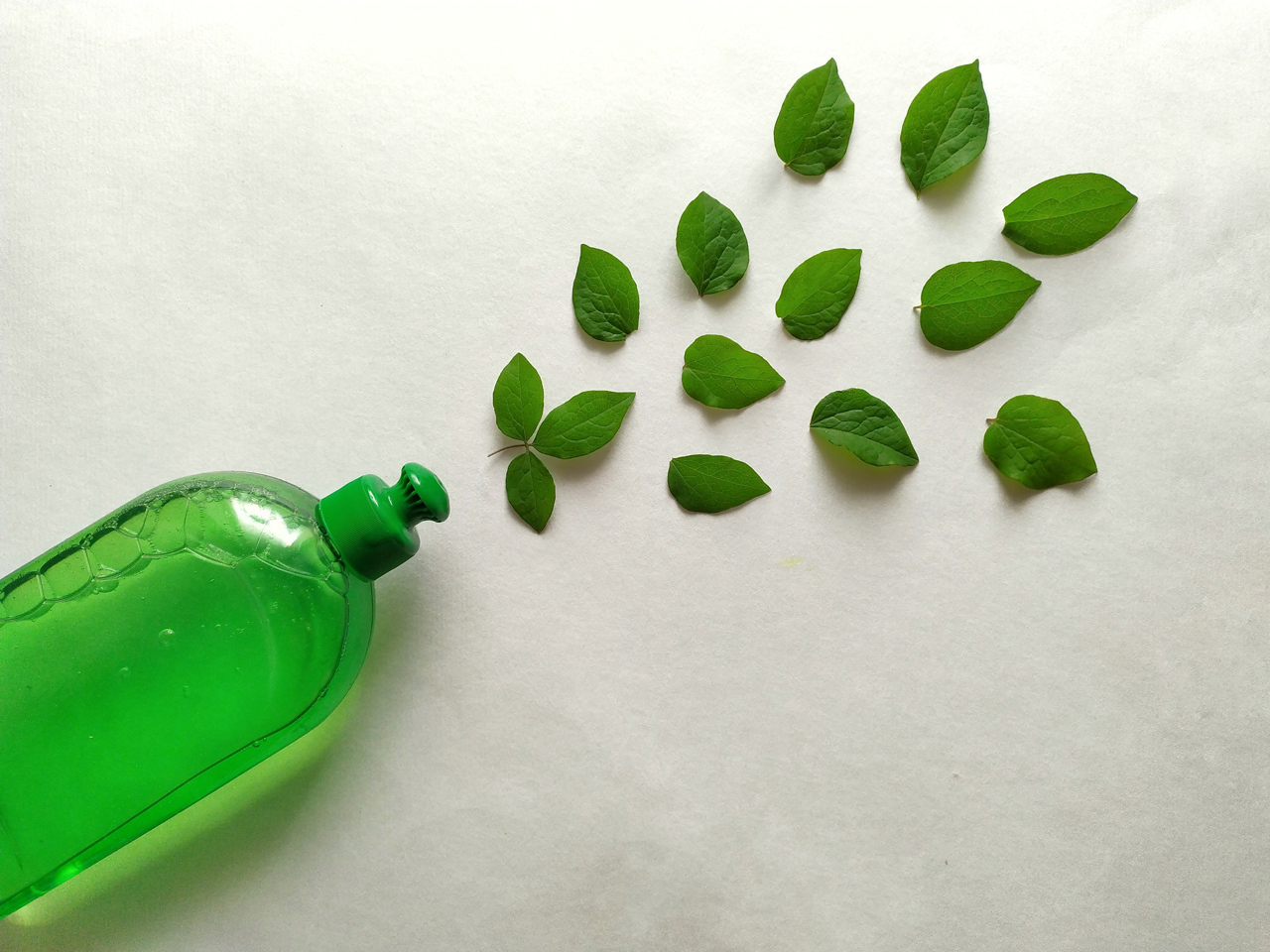 Eco-friendly cleaning product with green leaves coming out the bottle